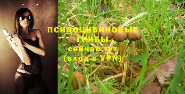 ешки Абинск