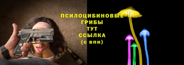 ешки Абинск