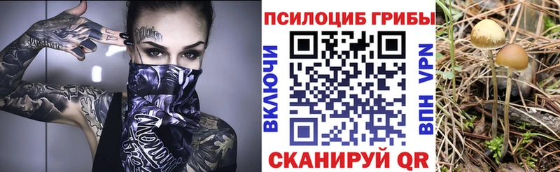 Псилоцибиновые грибы Magic Shrooms  mega сайт  Тюмень 